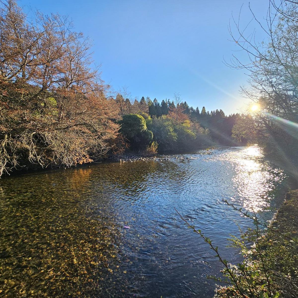 Lote Sobre el Río,  Meliquina, San Martín de los Andes