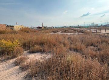 Terreno , Luján de Cuyo · Venta - Lote 2.500 m² (6 Lotes) - Lujan de Cuyo (Perdriel - Roncón de Cobos)