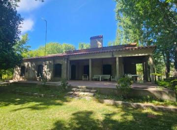 Campo , Tunuyán · Finca de 80,51 Ha en Venta en Tunuyán