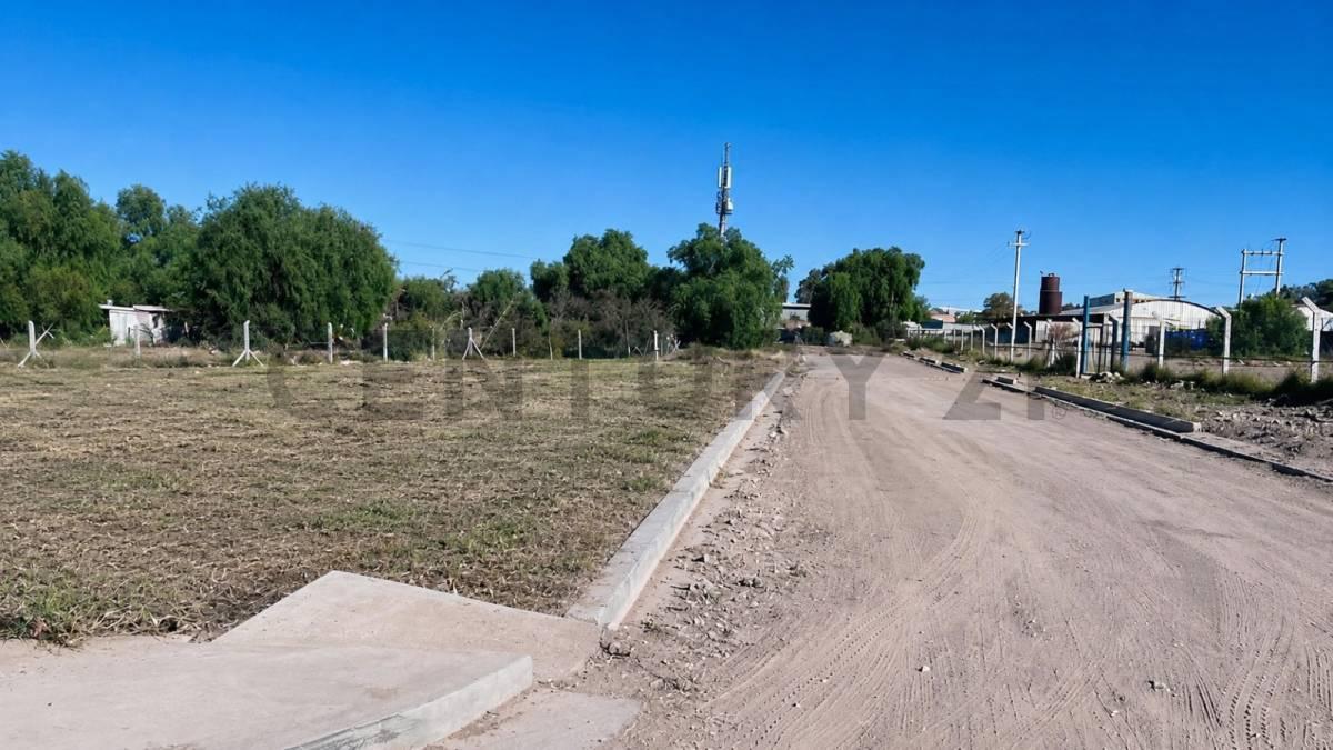 DRA. MAGNELLI S/N, Ciudad de Mendoza, Mendoza