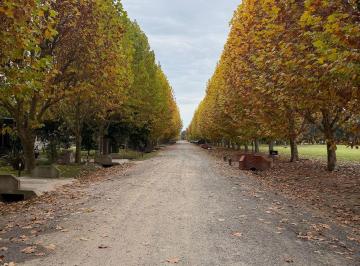 Terreno , La Plata · Venta de Lote en Haras del Sur I - 1593 m² - Inmejorable Ubicacion
