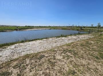 Terreno · 731m² · Venta Lote Al Agua en Riberas, Puertos del Lago