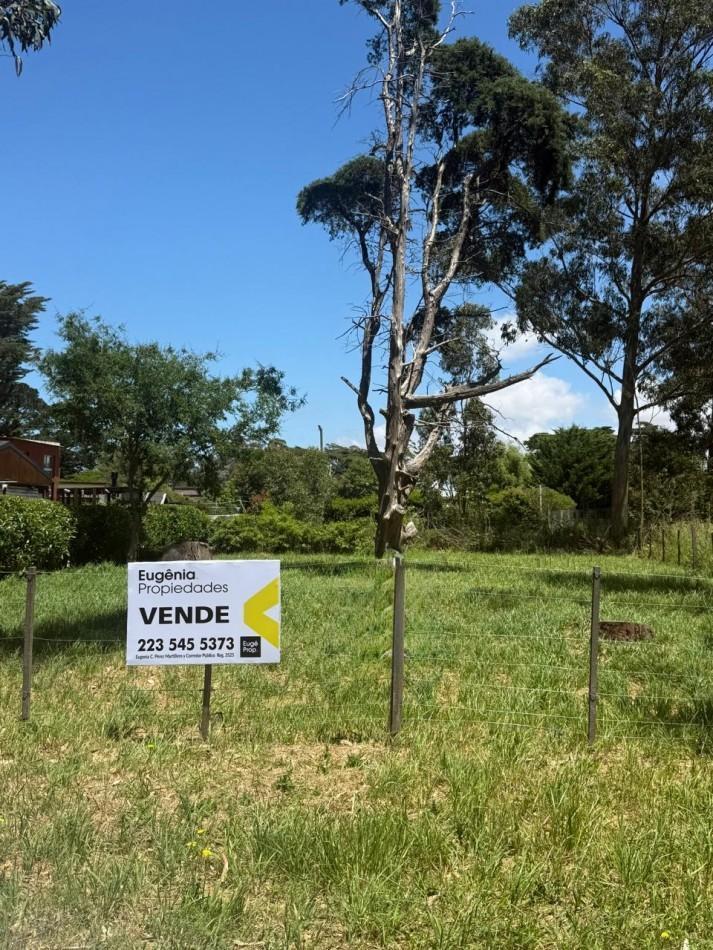 calle 483, Mar Del Plata, Buenos Aires, Argentina., Mar del Plata, Buenos Aires Costa Atlántica