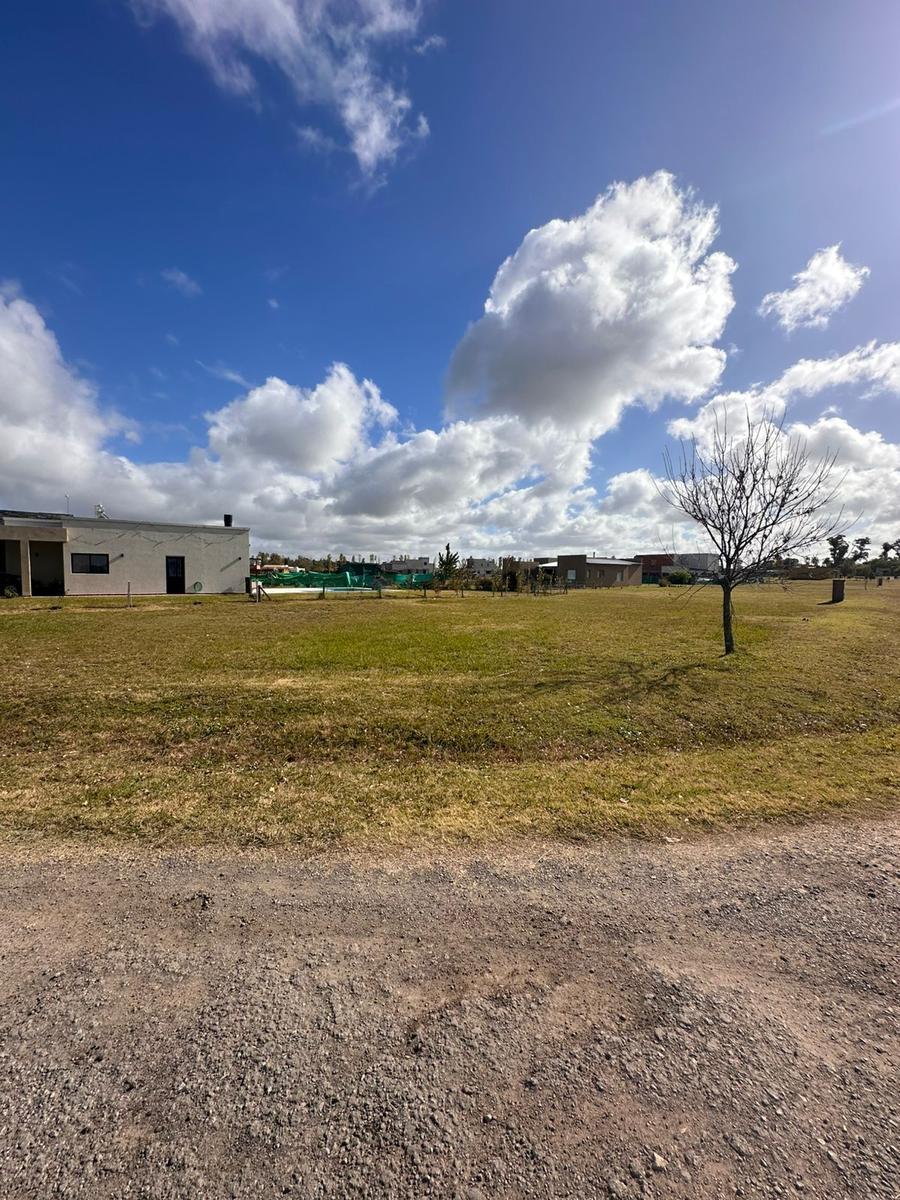 Km 69.500 Acceso Oeste, B6700 Luján, Provincia de Buenos Aires, Luján, GBA Oeste