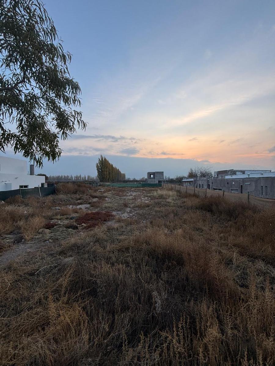 Roque Saenz Peña al 5800 - Barrio el Envero "casa de Campo", Luján de Cuyo, Mendoza