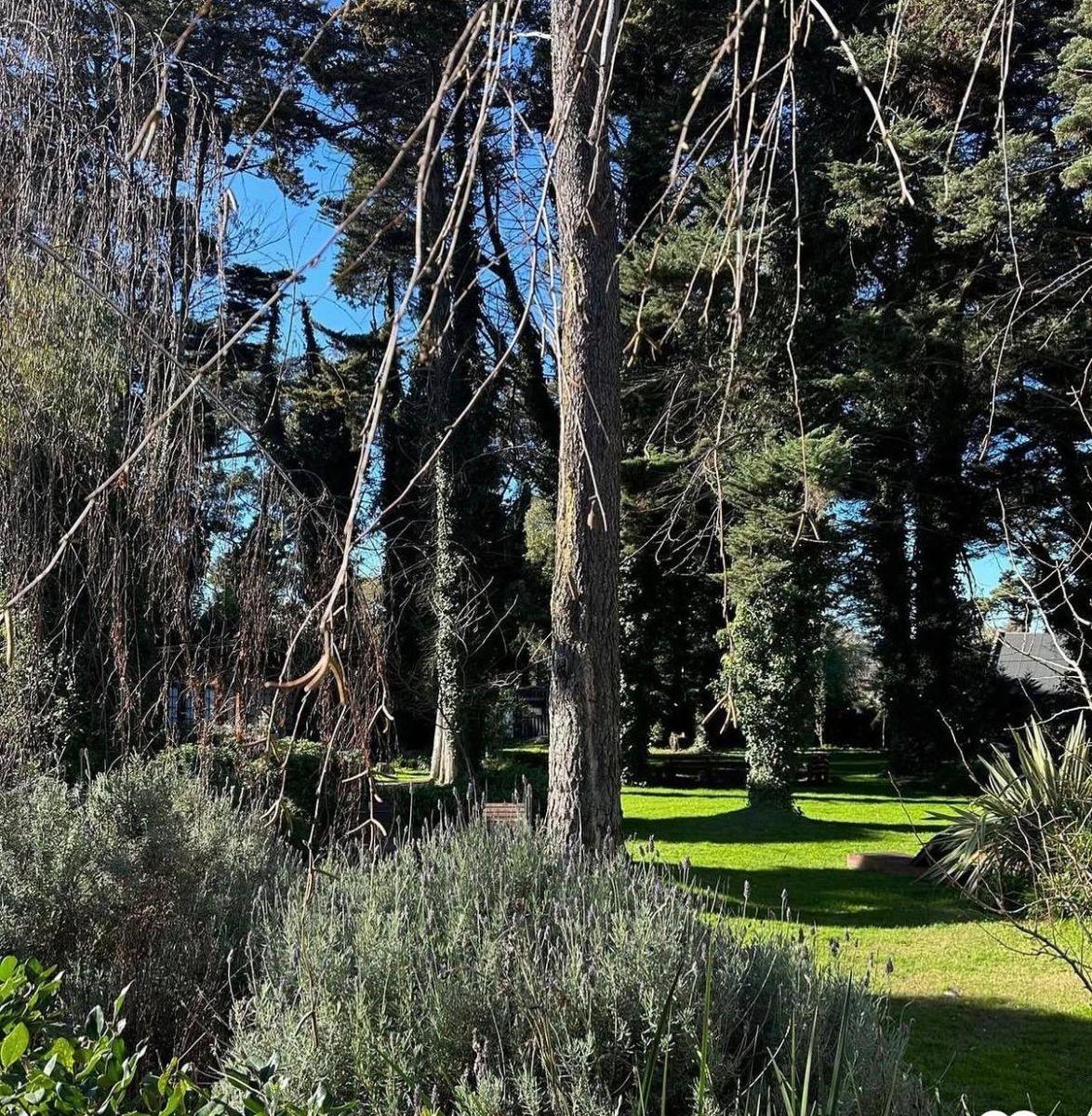 Las Margaritas & Los Nogales, Bosque Peralta Ramos, Mar del Plata