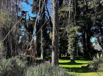Terreno , Mar del Plata · Excelente Terreno - Bosque Peralta Ramos - 450 m²