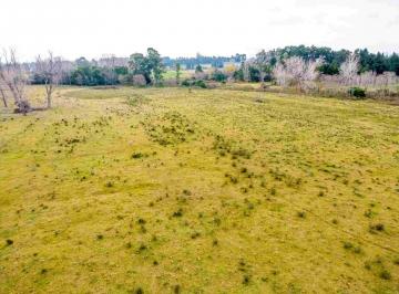 Campo · 30000ha · Venta de Campo 3ha en Rincon de Pando, Canelones