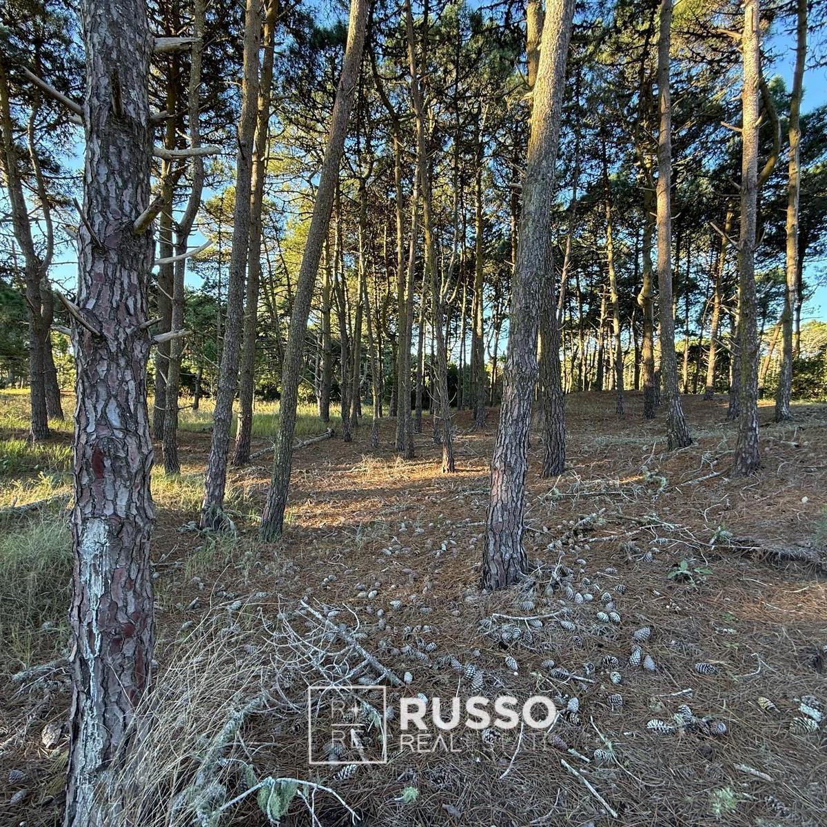 Bosques Pinamar Norte,  Pinamar, Buenos Aires Costa Atlántica