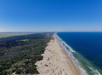 Campo · 580ha · Venta de Campo Luxury en Rocha – 241 Hectáreas con 2.100 m Frente a Costa Oceánica