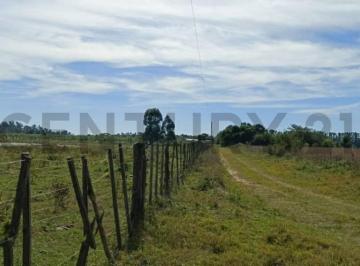 Campo · 90m² · 2 Ambientes · Campo y Casa en Venta, con Plantacion de Limones. Bella Vista, Corrientes.