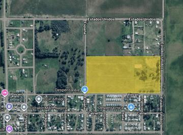 Campo · 12ha · Chacra Calle Pincen - Miguel Riglos