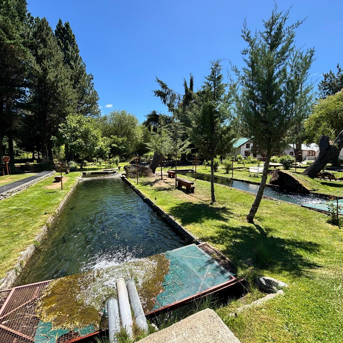 Criadero de Truchas Río Negro, El Bolsón, Río Negro