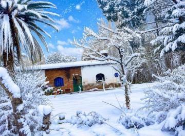 Campo , San Rafael · Venta de Finca de 6 Ha - San Rafael - Mendoza