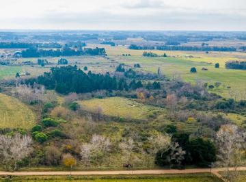 Campo · 6ha · Venta de Campo 5,6ha en Rincon de Pando, Canelones