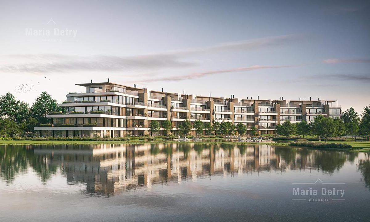 Lagunita 377