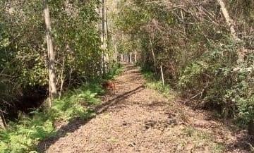 Terreno · 78000m² · Venta Terreno de 7,80 Has Delta Altos de San Fernando con 239 m de Costa