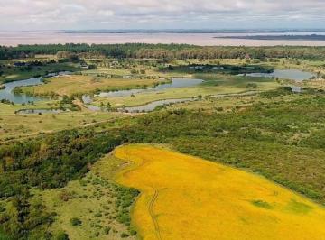 Campo · 84m² · Campo en El Golf