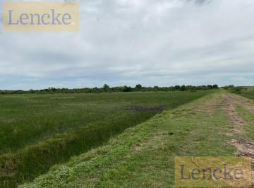 Campo · 50000m² · Campo en Zagarzazu