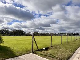 Terreno · 605m² · Lote en Venta Canning Chico