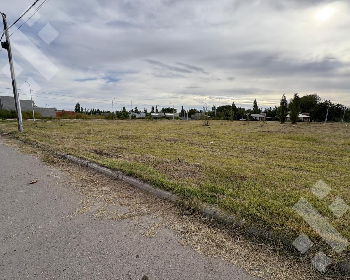 En Venta | Lotes de 352 m2 en Esquina | Barrio Los Cedros III | Plottier,  Plottier, Neuquén