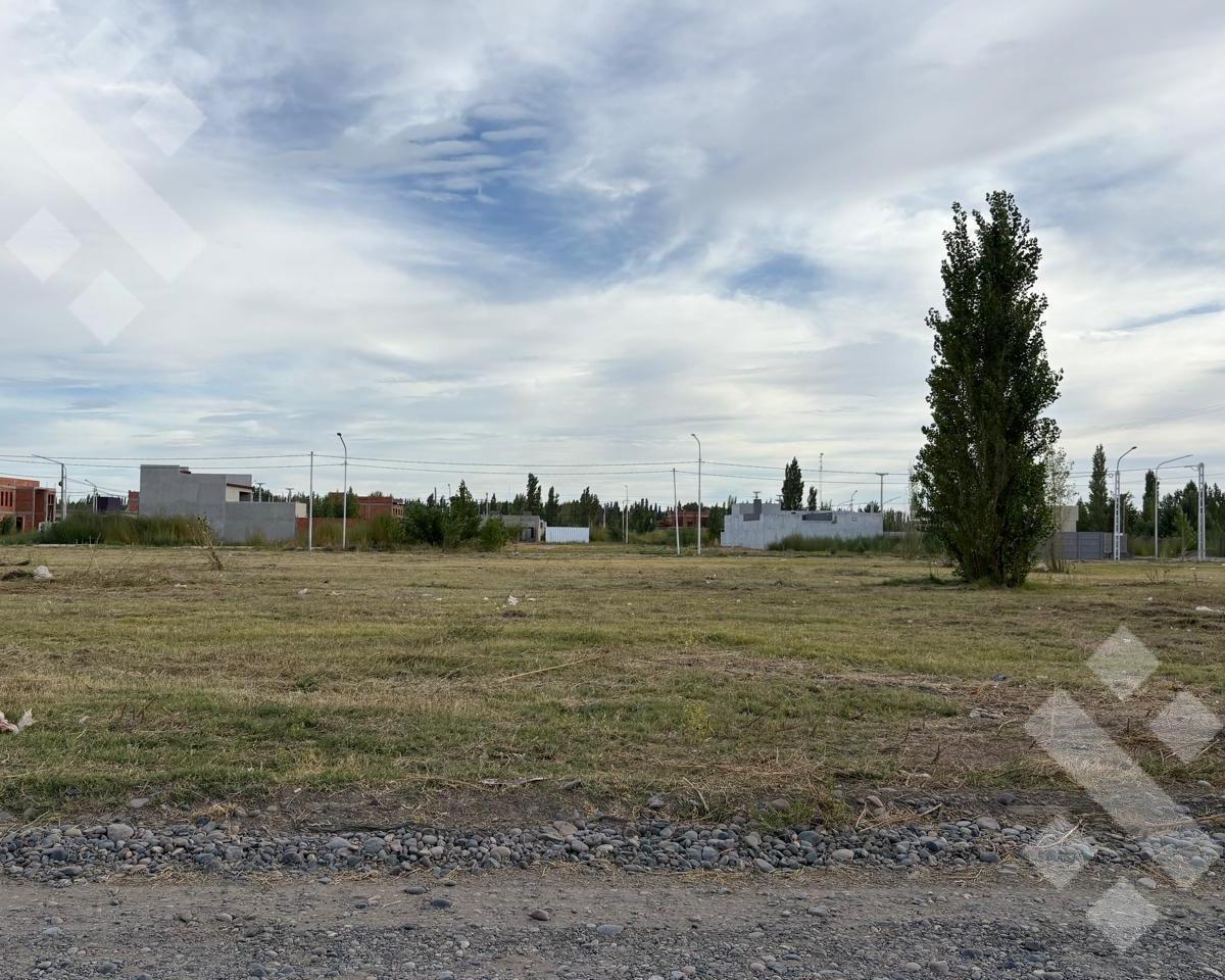 Lotes Comerciales Sobre Calle Alberdi Barrio Los Cedros III Plottier, Plottier, Neuquén