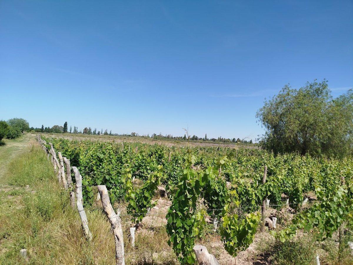 Belgrano 3500,  Maipú, Mendoza