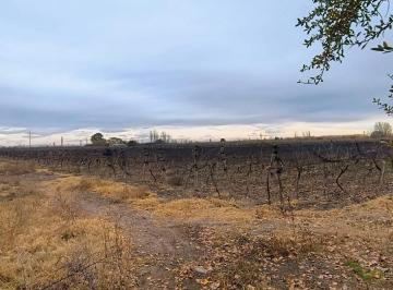 Campo · 72160m² · 1 Cochera · Finca - Goudge