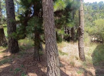 Terreno · 475m² · Venta Lote Mar Azul