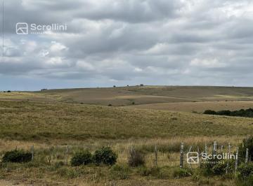 Campo · 1000000ha · 1 Ambiente · Chacra en Ruta 9 Rocha