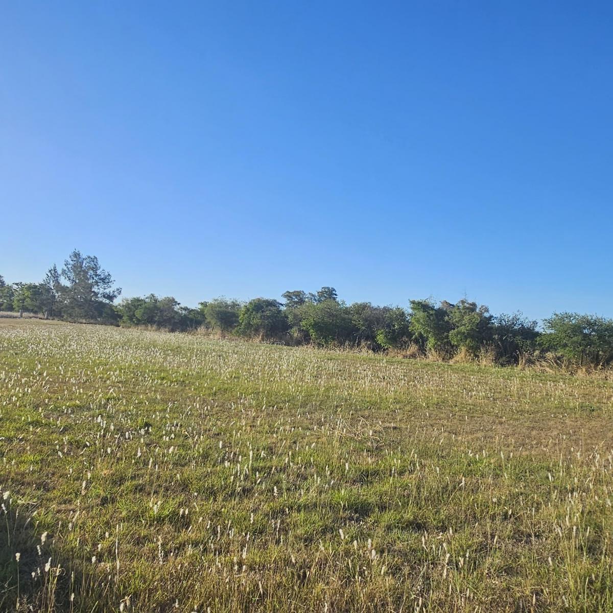 Altos del Ñandubay, Pueblo General Belgrano, Entre Ríos