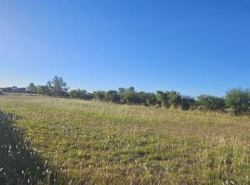 Terreno , Pueblo General Belgrano · Terreno Escriturado en Altos del Ñandubay