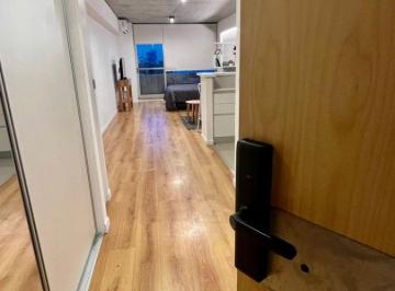 Departamento de 1 ambiente, Colegiales · Impecable Monoambiente Amoblado - Av Cordoba 6200 - Amenities de Categoria