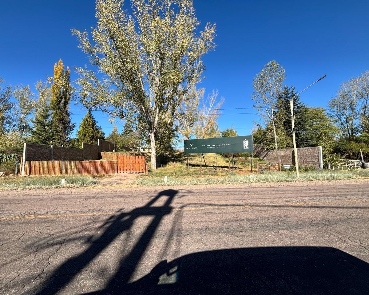 Ruta 94, Tunuyán, Mendoza