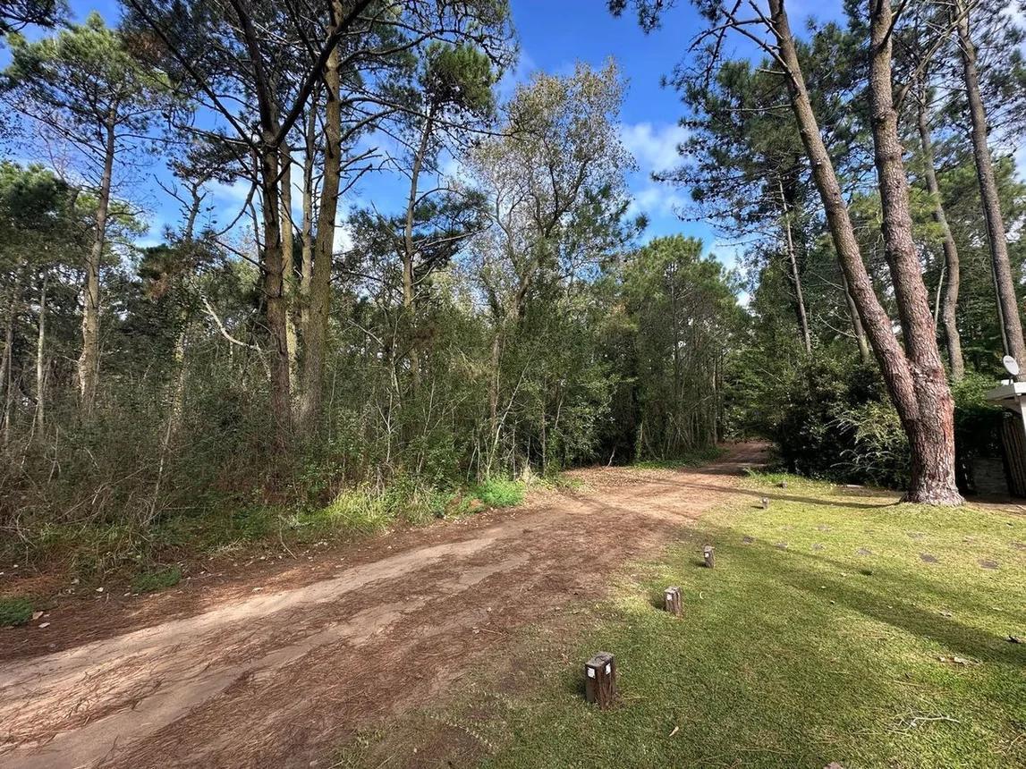 Garza Entre Olmo y Palmera, Cariló, Buenos Aires Costa Atlántica