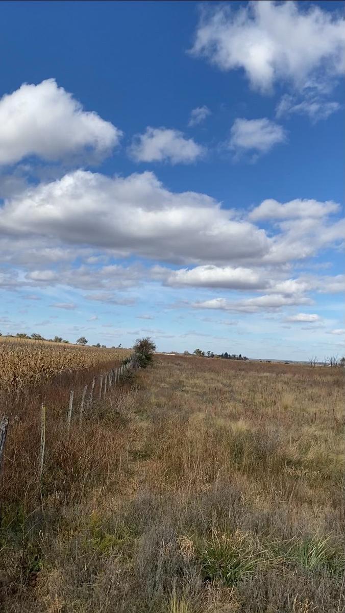 Loc. Los Pozos . Macha . Totoral, Los Talares, Córdoba