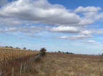 Terreno · 60m² · Venta Campo 5 Ha - Los Pozos, Macha Totoral, Cordoba