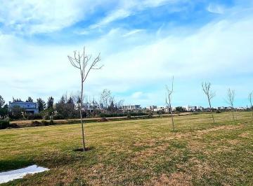 Terreno · 800m² · Lote Interno en El Naudir