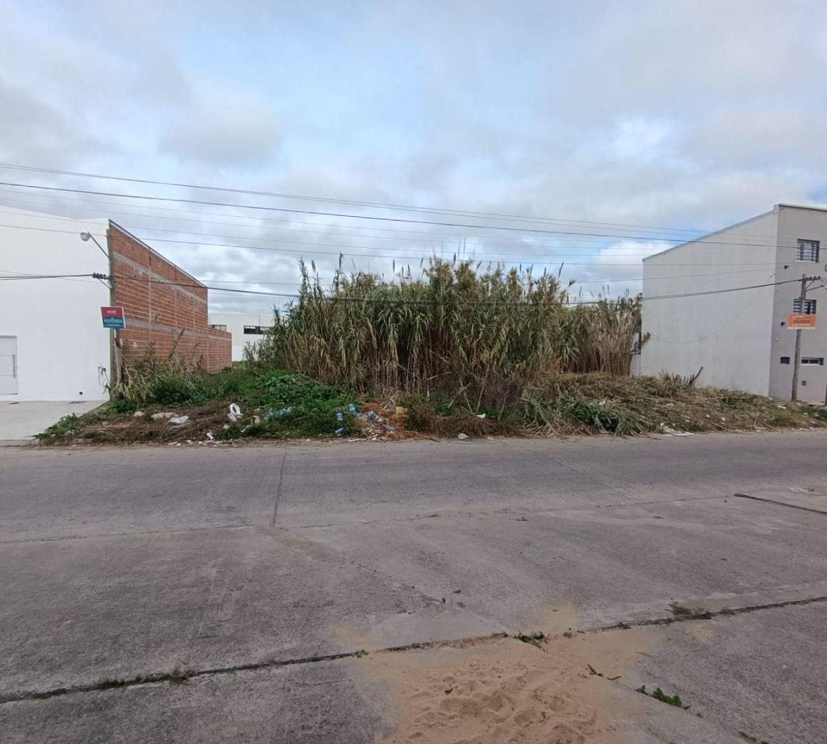 calle 134 . Entre 70 y 71, Los Hornos, La Plata