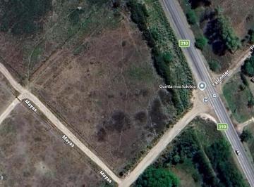 Ruta 210, Km. 61.800 Brandsen · Terrenos Sobre Ruta 210, Km. 61.800 Brandsen