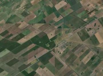 Campo · 43ha · Campo en Pavon