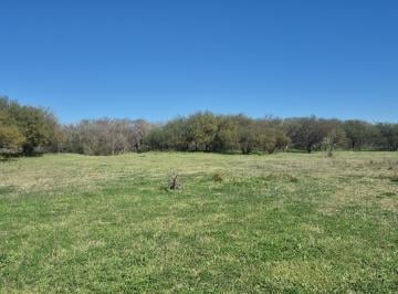 Campo · 43ha · Campo en Pavon