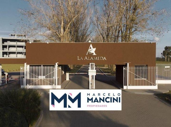 Terreno · 1231m²
