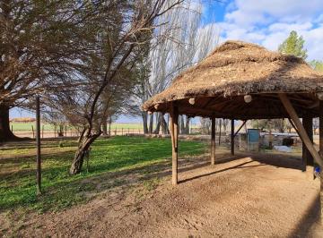 Campo · 120m² · 2 Dormitorios · Finca en Ugarteche