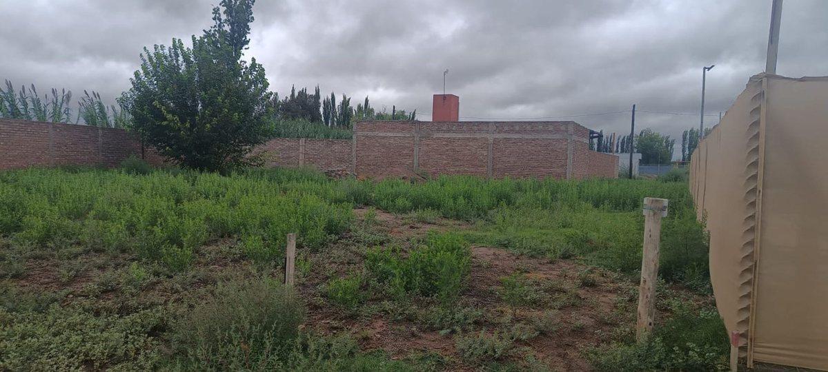Los Pinos 10300, Rodeo del Medio, Mendoza