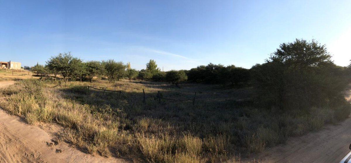 Doradillo y Zaino, Altos de Payun S/N, Toay, La Pampa