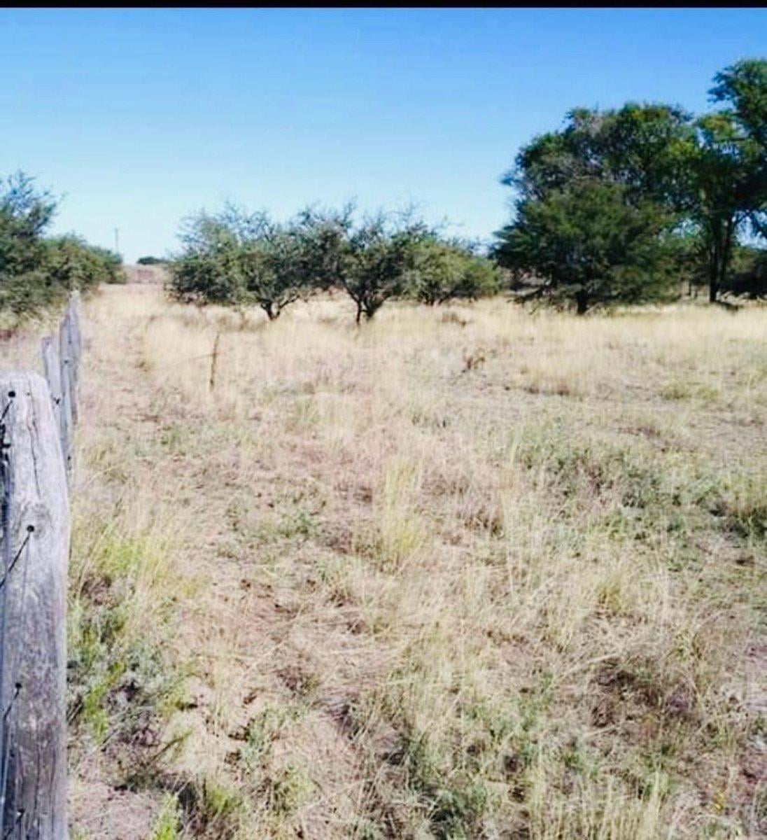 Bayo Sur y Tordillo S/N,  Toay, La Pampa