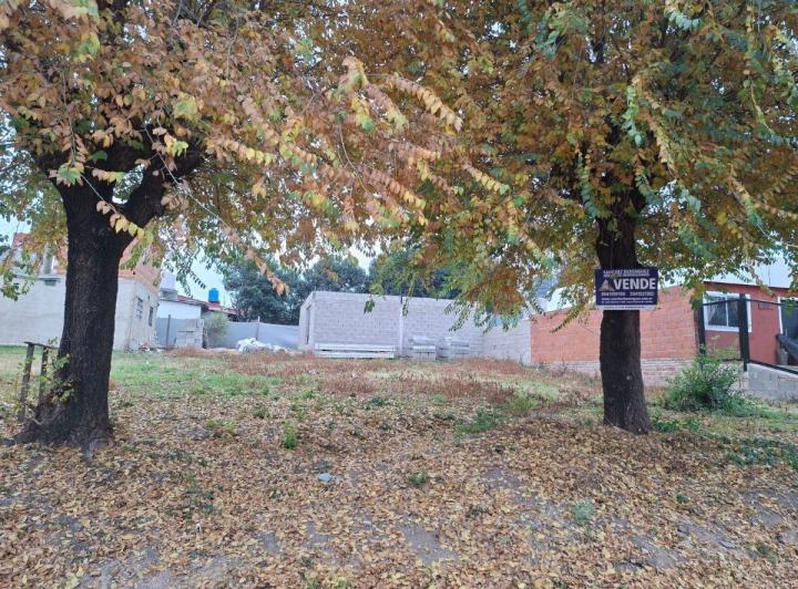 Terreno · 300m²