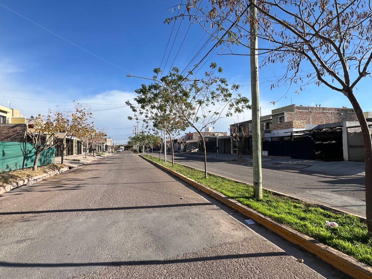 Calle Tapón Moyano