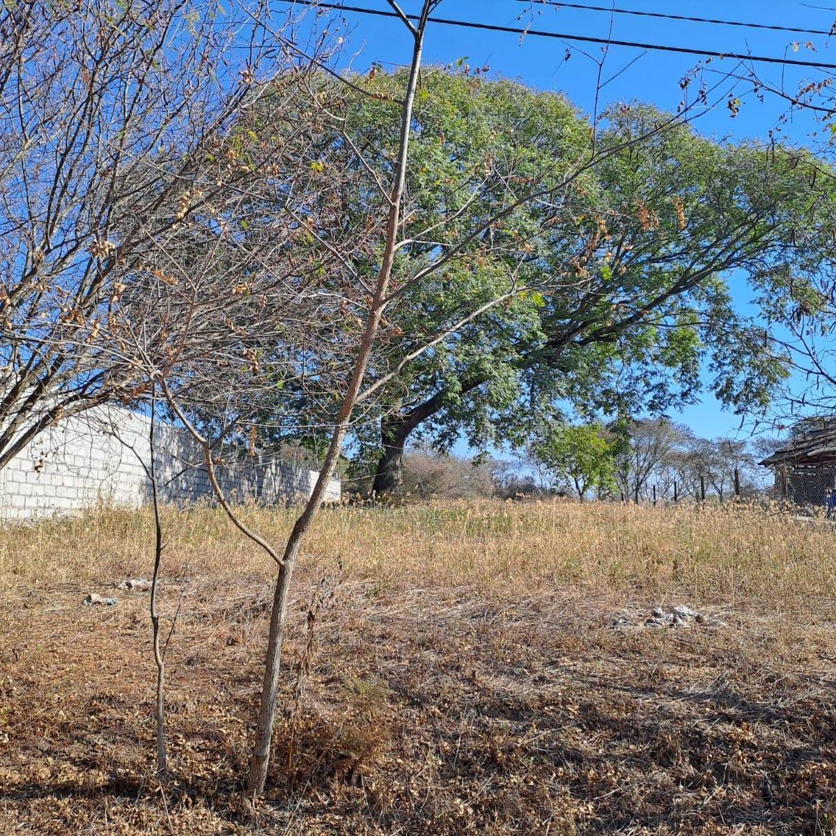 Bosque DEL Ceibal Lote 820, San Antonio, Jujuy